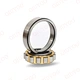 NF Single-row Cylindrical Roller Bearings